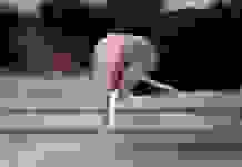 Другий тур виборів у Грузії. У великих містах можуть перемогти і влада, і опозиція, – екзит-поли