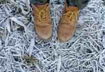 Заморозки не покидають Україну: синоптики назвали нові дати