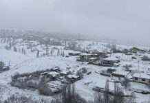 У Туреччині випав перший сніг