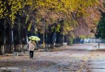 В Україну йде сніг і похолодання до -10: синоптики назвали дату