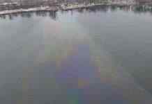 У Києві на Оболоні злили нафту в озеро: прокуратура взяла під контроль розслідування