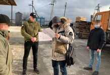 В Івано-Франківській області СБУ заблокувала великий канал контрабанди лісу