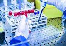 У Чехії виявили новий варіант штаму Delta