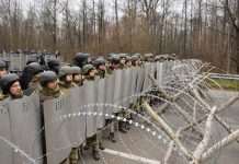 Біля кордону з Білоруссю відбулися масштабні навчання у межах спецоперації “Полісся”