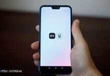 В Україні з’явиться е-посвідчення ветерана війни: Рада зробила перший крок