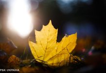 Морози будуть вночі. В Україні прогнозують сонячний день, – УкрГідрометцентр