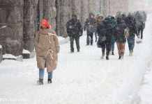 Якою буде погода в грудні: Укргідрометцентр дав прогноз на перший місяць зими