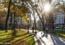 До -9 градусів морозу: синоптики попередили про похолодання в Україні