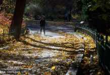 Без опадів та до 15 градусів тепла на півдні: прогноз погоди на сьогодні