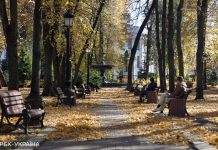 Потепління та сильний вітер: прогноз погоди в Україні на сьогодні