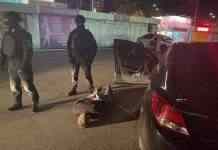 Представлявся співробітником СБУ: затримано шахрая, який обіцяв іноземцю громадянство України