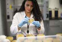 В Австралії повідомили про перші можливі випадки зараження “омікрон”- штамом