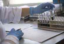 У Києві лабораторія підробляла COVID-тести: підозрюють ряд співробітників