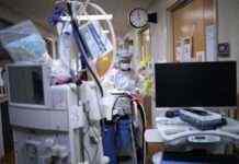 У світі від COVID-19 померло вже понад 5 млн осіб, – ВООЗ