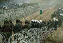 Польща нарахувала 206 спроб прориву кордону мігрантами за добу