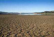 У Південній Каліфорнії 19 млн людей страждають від посухи: оголошено надзвичайний стан
