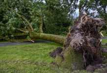 На Нью-Йорк обрушилися вітри і град: будинки пошкоджені, світло відключили