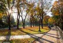 Якою буде погода в листопаді: Укргідрометцентр дав прогноз на останній місяць осені