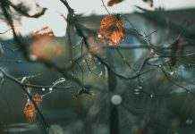 Без опадів, але до -7 градусів. Завтра Україну накриє антициклон