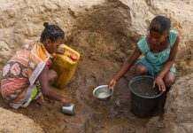 Люди їдять кактуси та сарану: Мадагаскар на межі голоду через зміни клімату