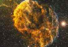 В NASA показали туманність у формі медузи: вражаючий кадр