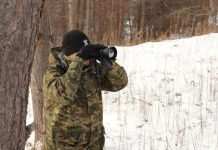 Польскую границу штурмовала большая группа нелегалов с территории Беларуси