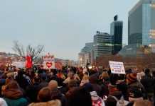 Більше 40 тисяч людей вийшли на протест проти вакцинації та локдауну у Відні