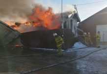 Під Києвом загорілася пилорама. Площа пожежі досягла 1 тисячі метрів