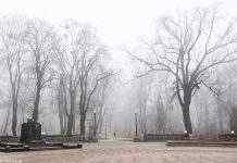 Київ і область накриє густий туман, який протримається до завтра