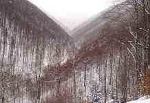 Рятівники попередили про сходження лавин у Карпатах