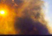 У Колорадо через лісові пожежі згоріли понад 500 будинків