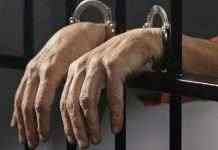 Депутата, який на смерть збив велосипедиста на Чернігівщині, відправили до СІЗО