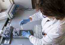 У Польщі виявили другий випадок “Омікрону”: захворіла маленька дитина