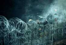 Майже 70 мігрантів намагалися проникнути до Польщі з Білорусі