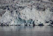 В Арктиці через глобальне потепління дощ скоро замінить сніг, – вчені