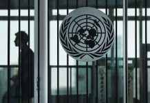 Світові ціни на продукти ростуть четвертий місяць поспіль, – ООН