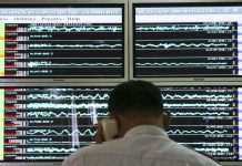 У Грузії стався землетрус: що відомо