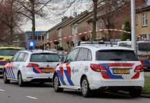 У Нідерландах через феєрверк постраждали діти: один помер