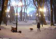 Сонячно на заході та зливи на сході: погода на завтра