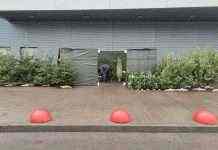 Ярмарки з продажу ялинок у Києві запрацює з 15 грудня: названі ціни та адреси