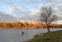 Зимове потепління та зливи в окремих регіонах: погода на завтра