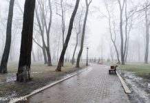 Туман, ожеледиця та сходження лавин. Українців попереджають про небезпеку: де саме