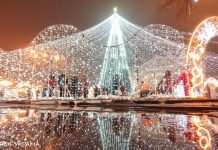 Ціни виросли. У скільки українцям обійдеться новорічний стіл