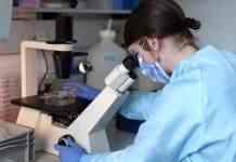 Штам “Омікрон” зафіксували у понад 100 країнах світу, – ВООЗ