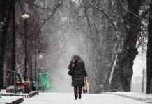 Мокрий сніг, ожеледь і потепління до +14: прогноз погоди в Україні на завтра