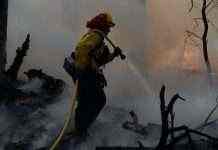 Пожежу на складах у Києві ліквідували. Проводилася евакуація