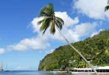 Круїзний лайнер не пустили в порти Карибського моря: відома причина