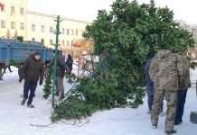 У центрі Кропивницького вітер повалив головну ялинку міста