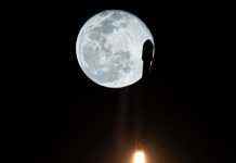 SpaceX вивела на орбіту ще півсотні супутників Starlink: відео запуску ракети