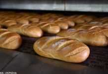 Ціни в Україні будуть моніторити щоденно: перелік споживчих товарів